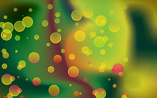 Bokeh photography